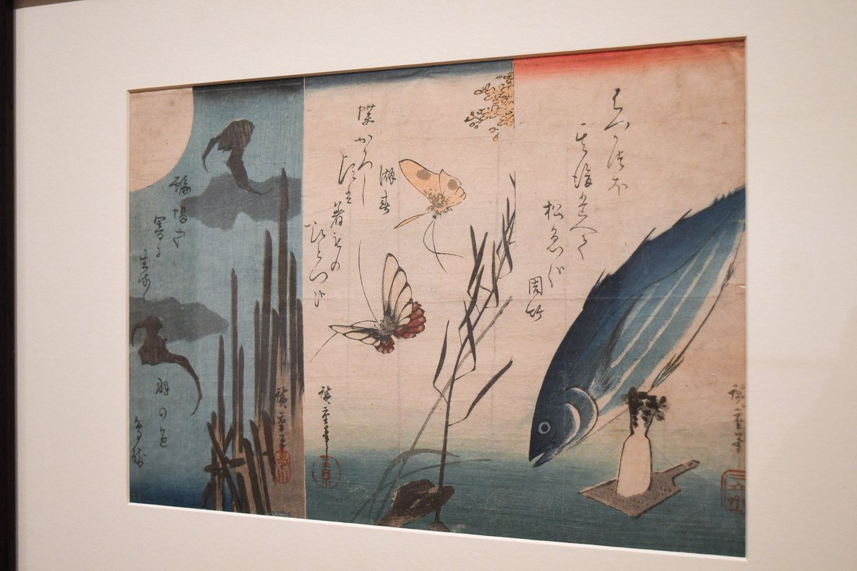 千葉市美術館 tweet media