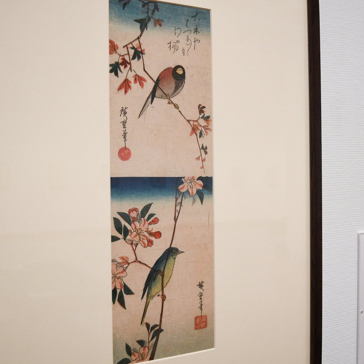 千葉市美術館 tweet media