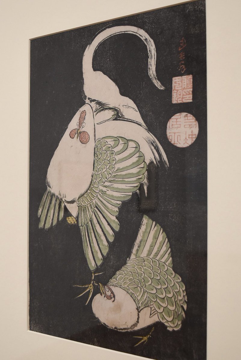 千葉市美術館 tweet media