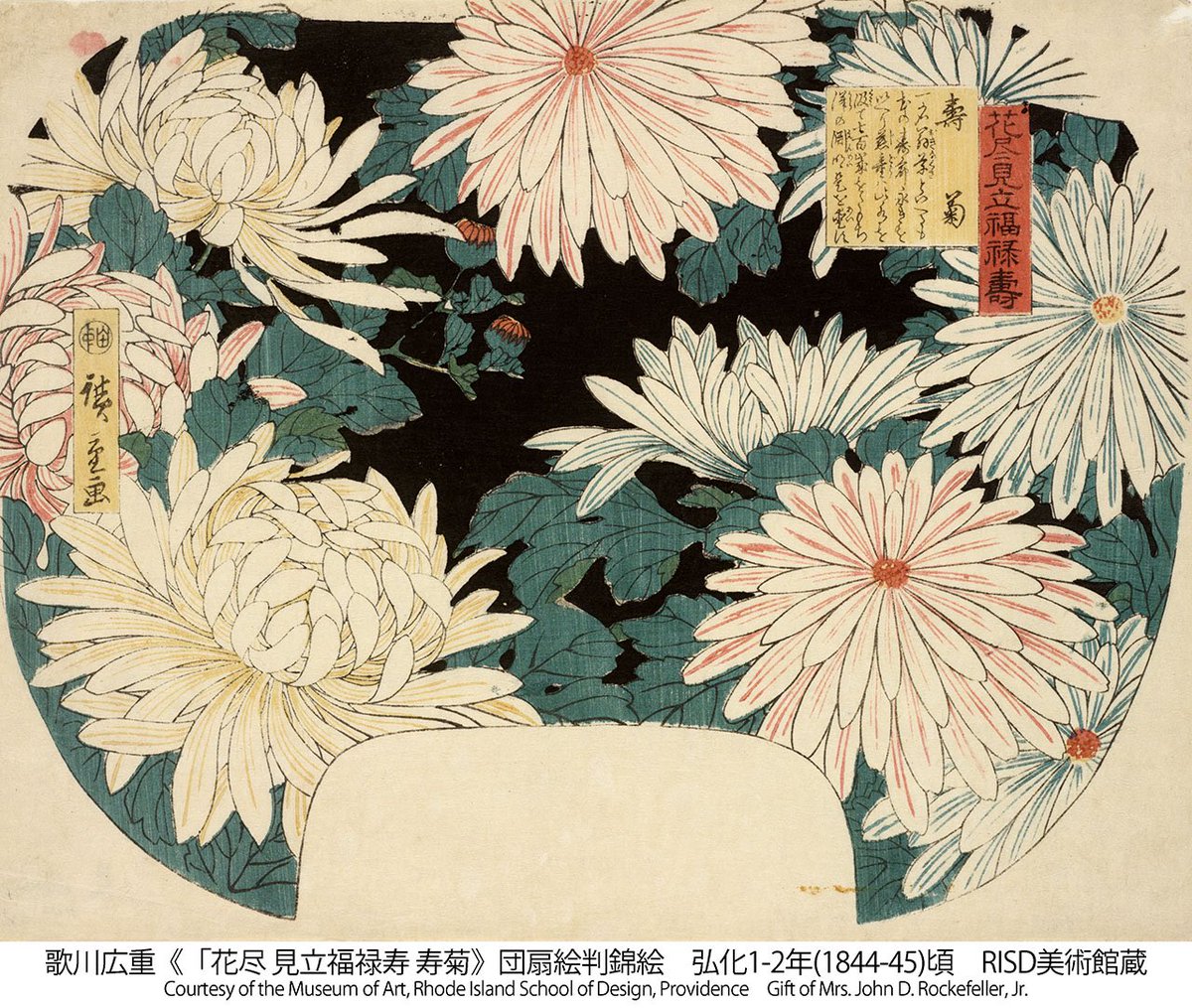 千葉市美術館 tweet media