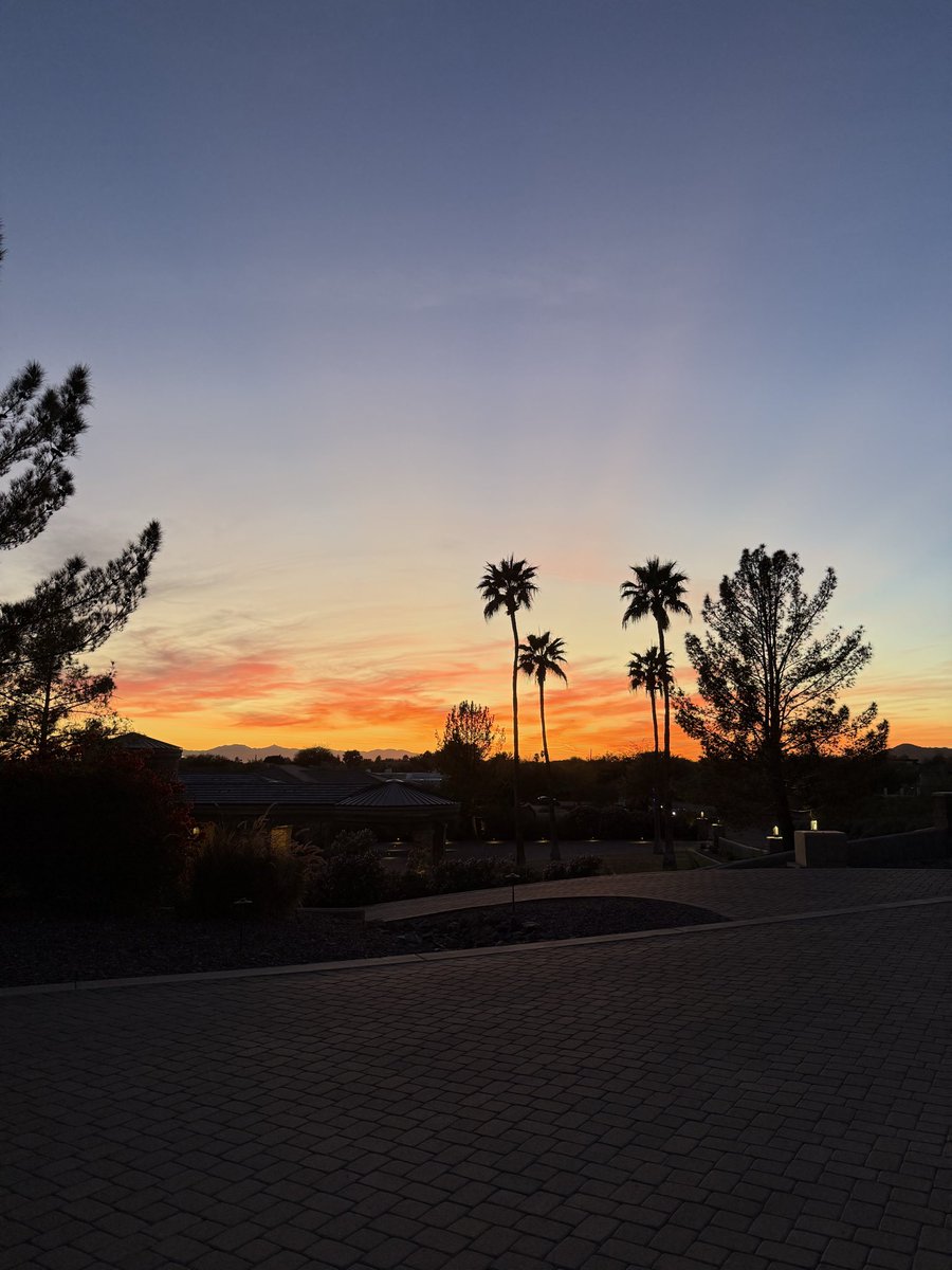 Scottacular tweet media