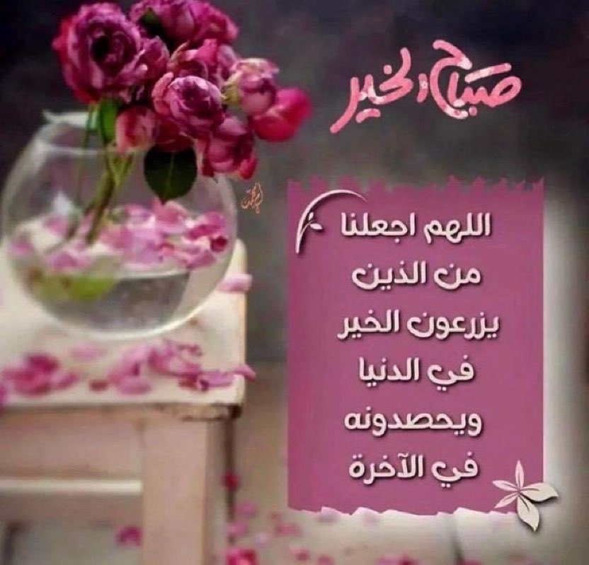 عظيمة الشرقية❤️ tweet media