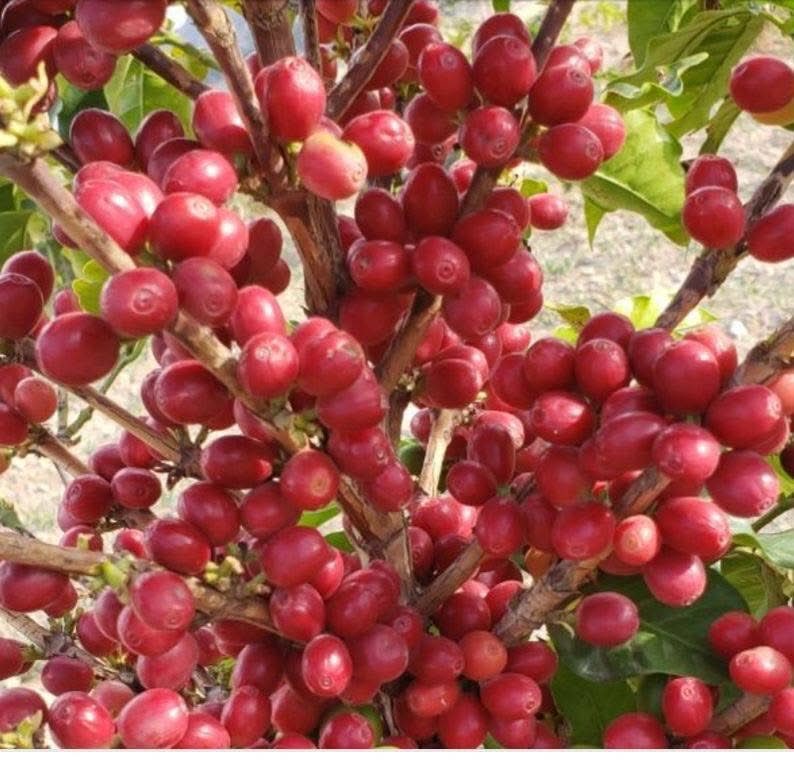 Faisal Saeed Farea (@faisalsaedfarea) on Twitter photo 