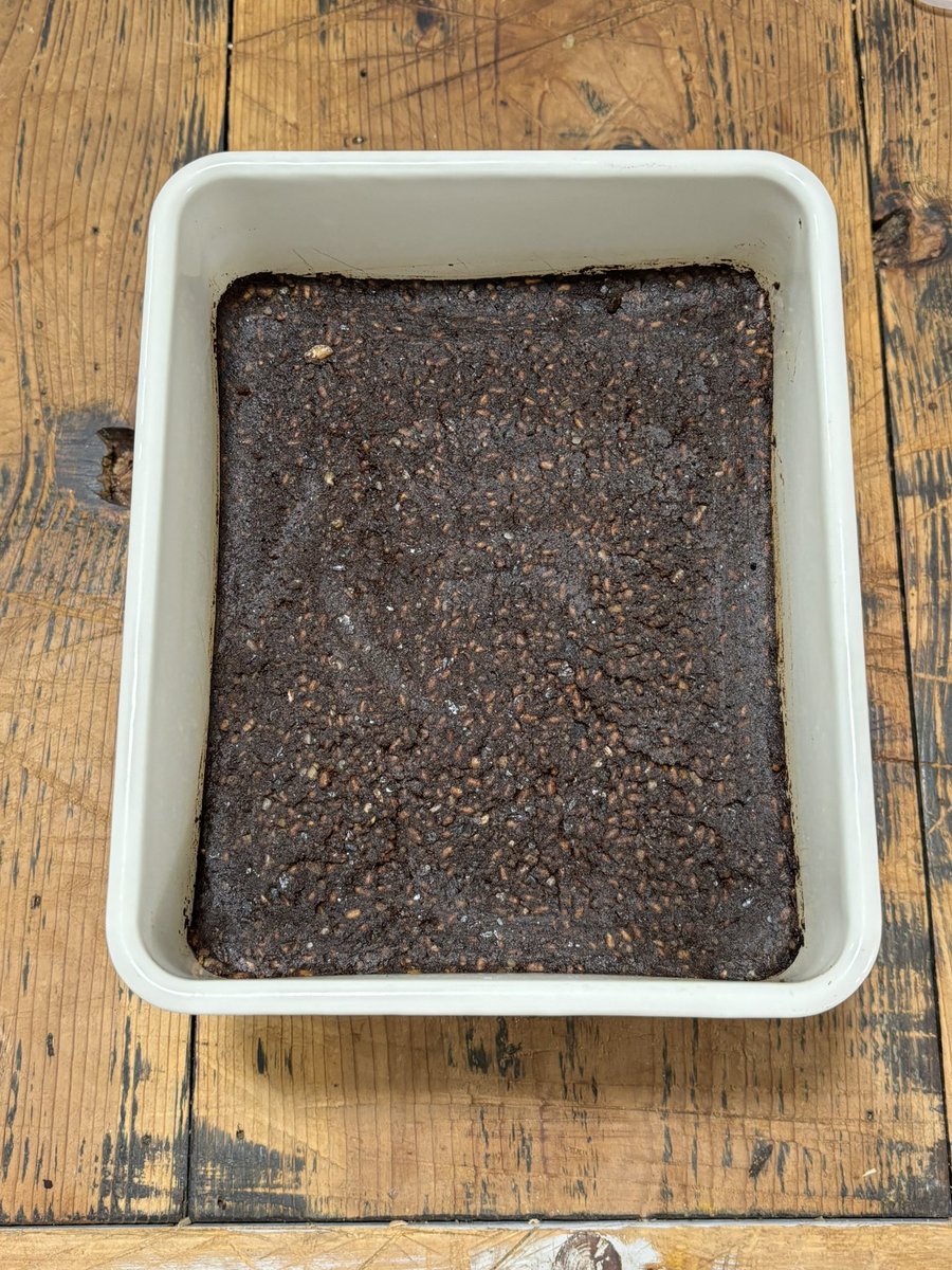 パパイヤ (@tonywan55) / Posts / X