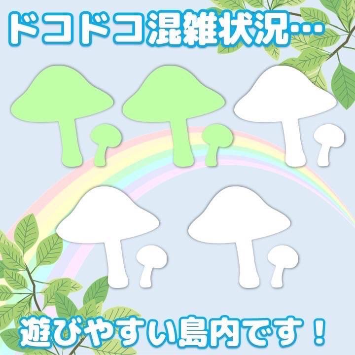 2月27日(金)11:30現在

すぐにご案内可能です✨
お得なフリーパス販売中♪

【本日12時30分まで団体様の利用がございます】

今日もポカポカお天気☀️
どこに遊びに行くか迷ったら
ドコドコで遊ぼう！🍄

ご来島お待ちしております🏝️