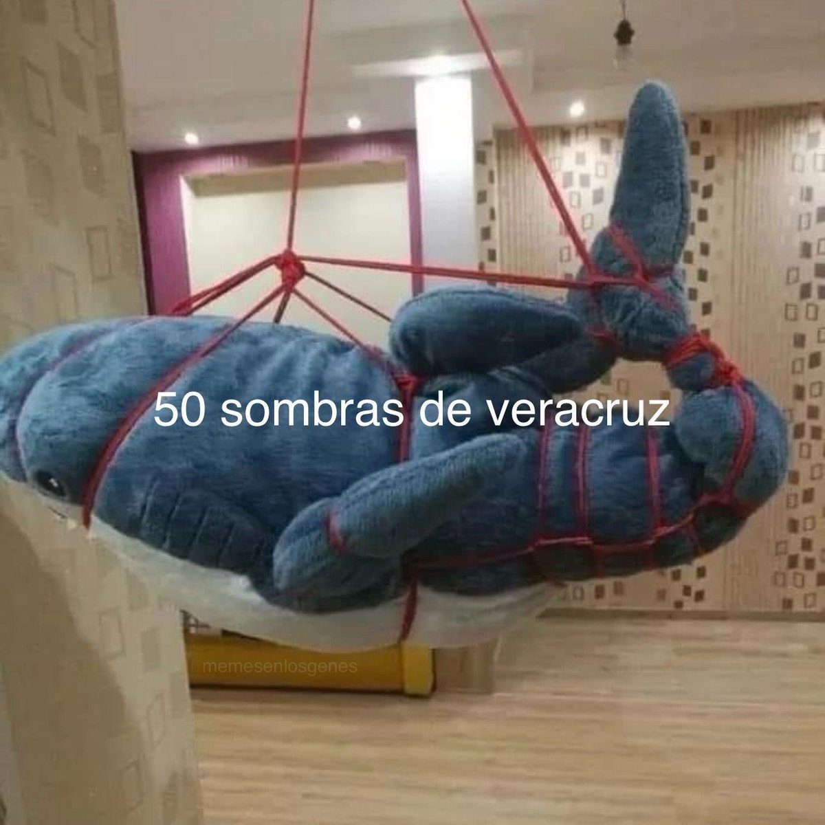 memesenlosgenes (@memesenlosgenes) on Twitter photo 