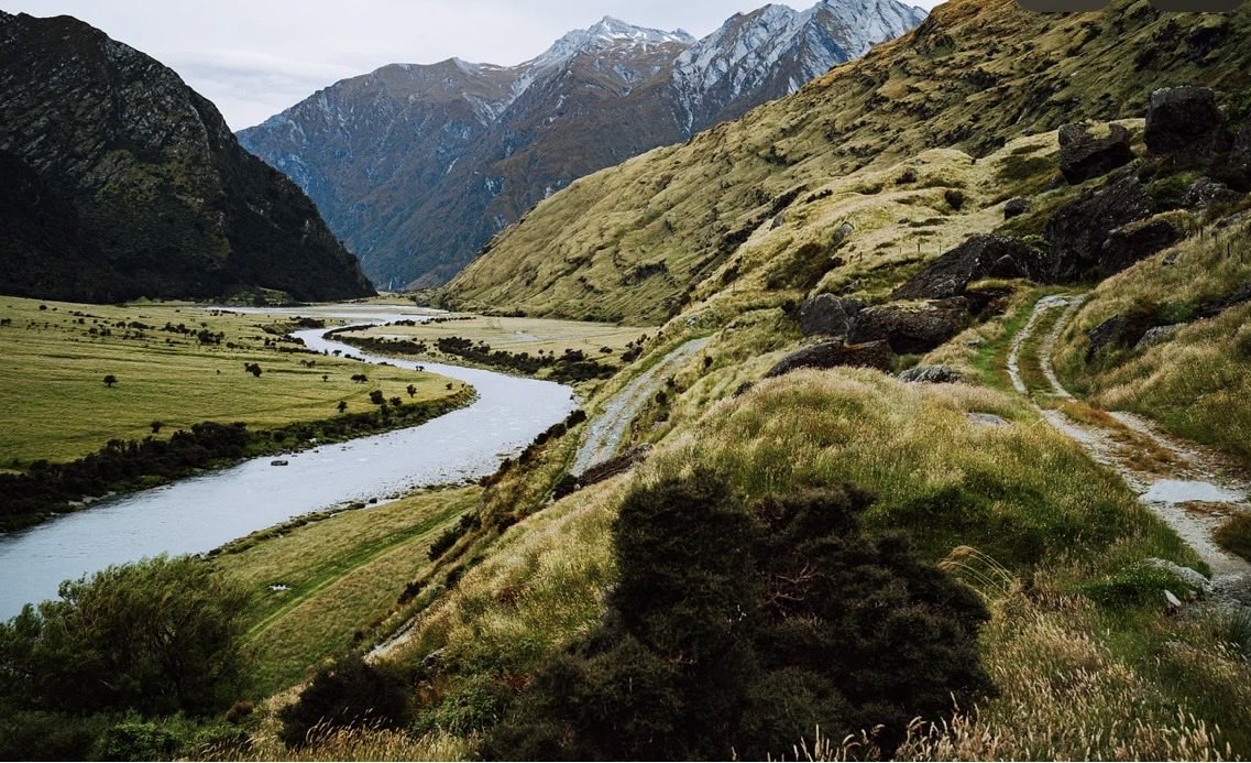 Dr. Essie Mckoy tweet media