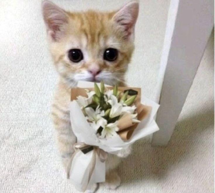 repuzumakii's tweet photo. @bykaai Pois leia flor! Tenho certeza que ira adorar https://t.co/if6eufheFx