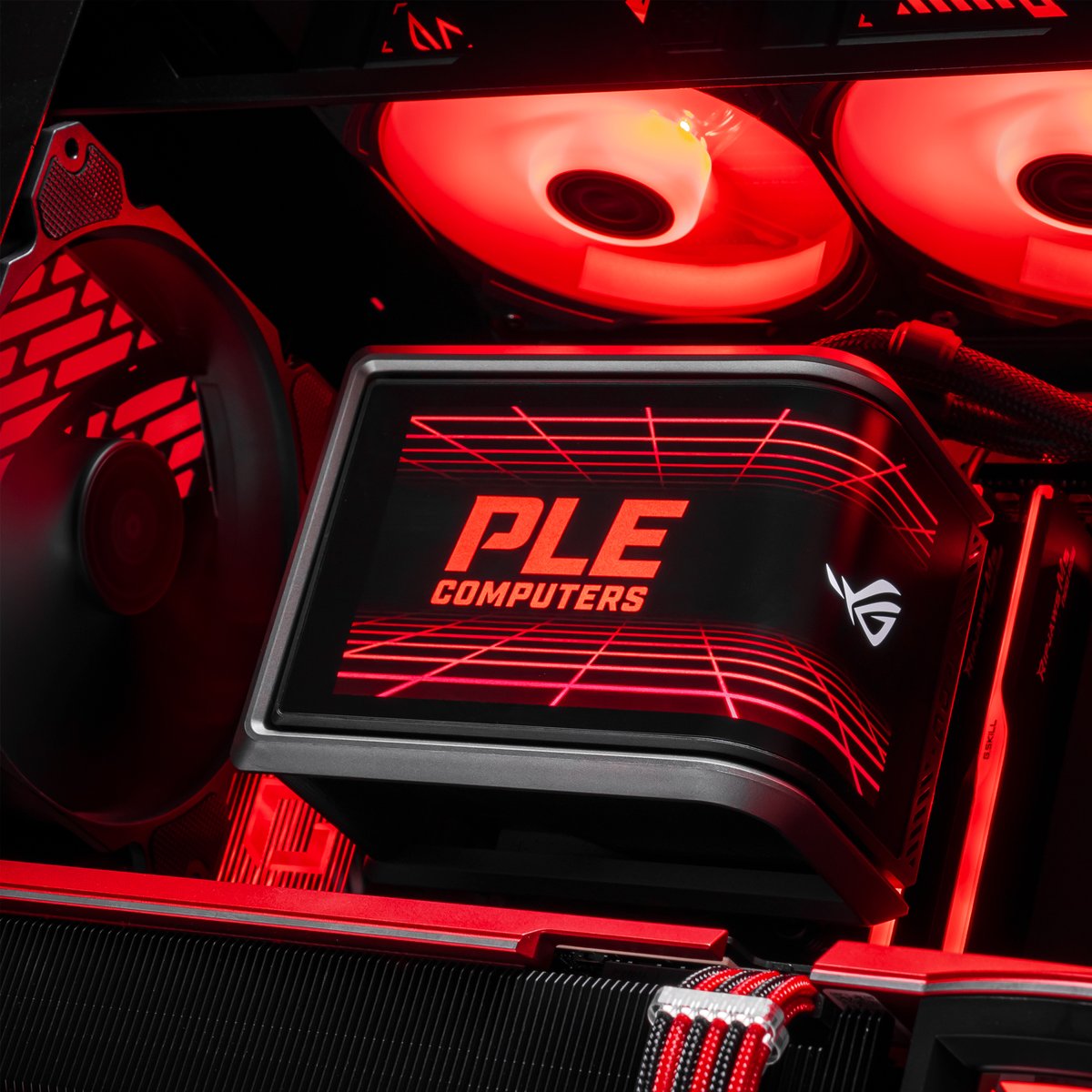 PLE Computers tweet media