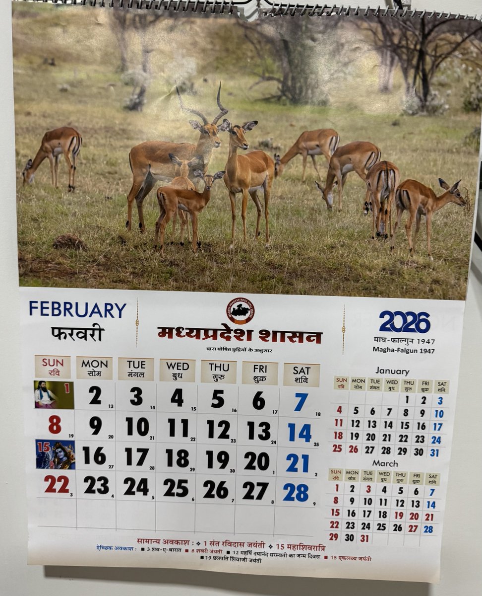 OfficeOfDVS's tweet photo. मुख्यमंत्री जी ⁦@CMMadhyaPradesh⁩ जिस हिरण का चित्र आपने एमपी के कैलेंडर पर लगाया है वह एमपी में ही नहीं पर भारत में भी नहीं पाया जाता। ये Impala है जो अफ्रीका में पाया जाता है।
कृपया सोच समझ कर एमपी के शासकीय कैलेंडर पर चित्र लगवाया करें। जय सिया राम। 
⁦⁦@INCMP⁩ https://t.co/0H2Gz1LtmM