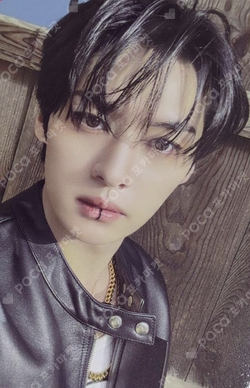 fidh(ᐢ..ᐢ₎ hElP rT pinned tweet media