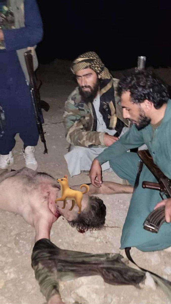 Aryan_Zarghoon's tweet photo. One other dog has been killed😉🖕🇵🇰 
Fuck Pakistan
FUCK PAKISTAN 
FUCK PAKISTAN 
FUCK PAKISTAN https://t.co/tRh5TgxsL9