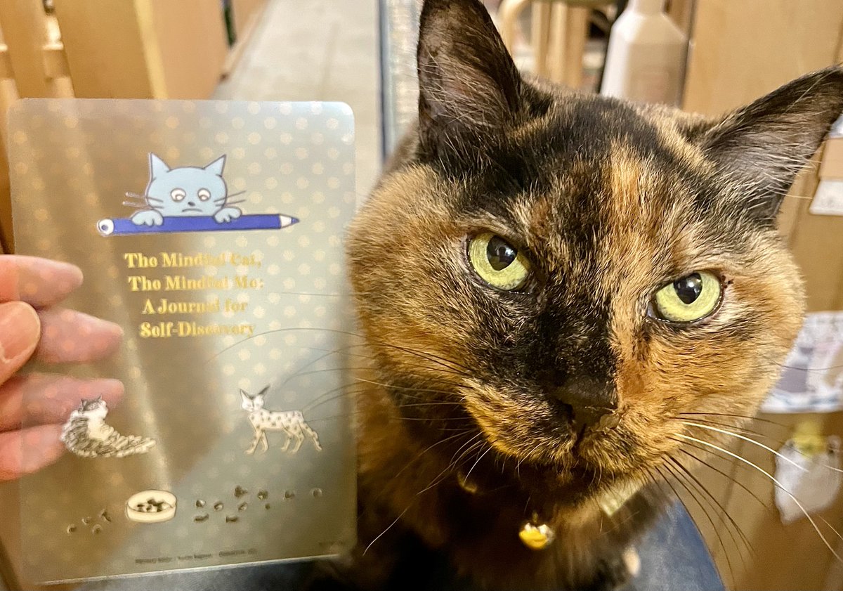 CatsMeowBooks's tweet photo. 『猫とわたしを整えるジャーナリングノート ―愛猫を観察すると、自分のことがわかってくる―』には、数量限定で長崎訓子さんイラストの透明しおり付きです。
https://t.co/WjxCOTezPG https://t.co/emAXUXftTP