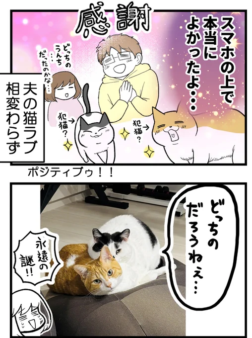 (3/3) 
