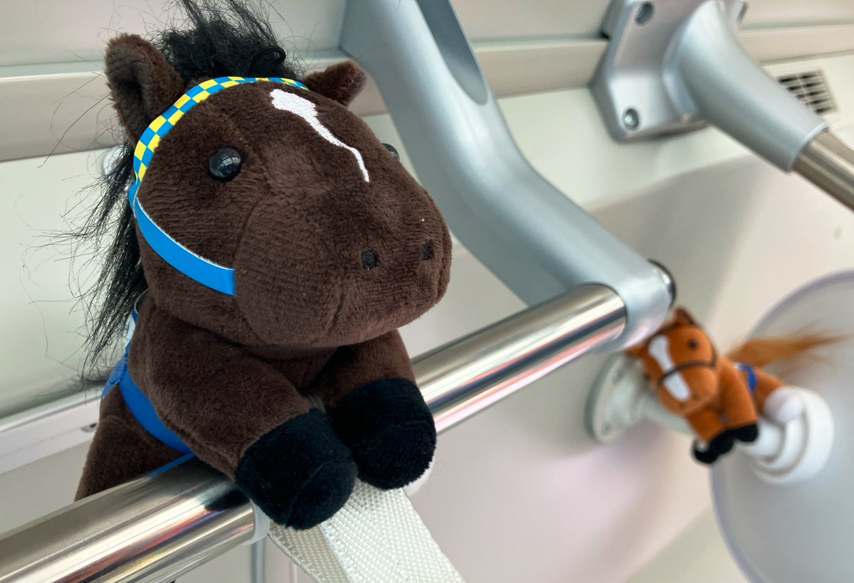 たまこ (@egg24k) / Posts / X