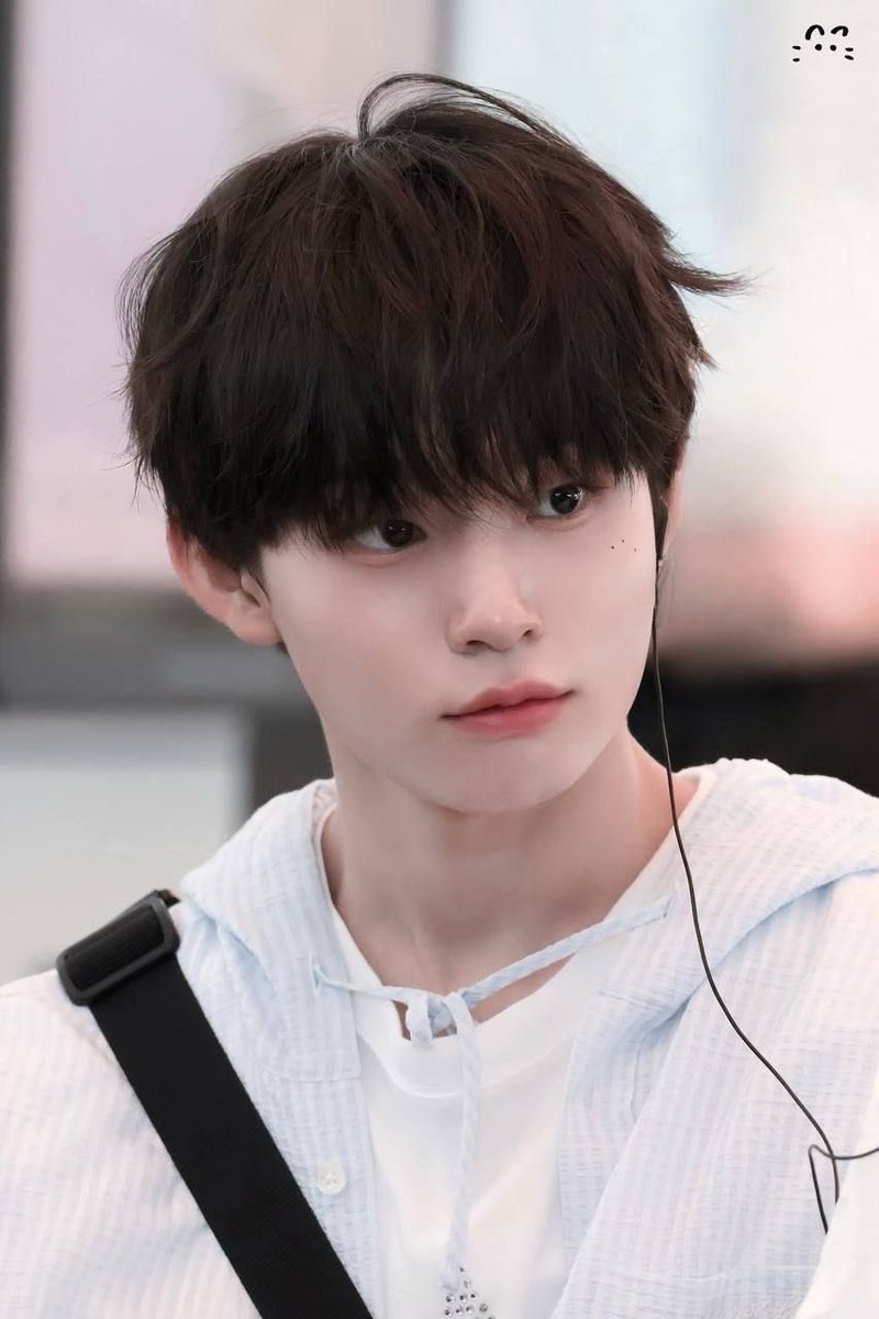 kitenshi_'s tweet photo. 제아기를소개함니다 ㅋㅋ https://t.co/WjQJH4wUgP