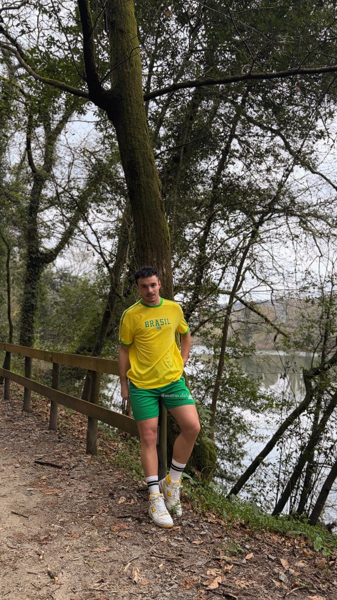 𝗠𝗮𝘁𝗲𝘂𝘀 𝗔𝗹𝘃𝗲𝘀 tweet media