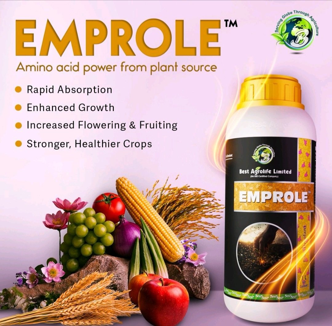 BestAgrolifeLtd's tweet photo. Introducing Emprole– the amino acid power from plant sources your crops have been waiting for.
✅ Quick Absorption
✅ Stronger Growth
✅ Better Results
#Emprole #BestAgrolife #PlantPower #StrongerCrops #HealthyYield #SmartFarming #CropCare #FarmersChoice https://t.co/aDYd2IgQ7K