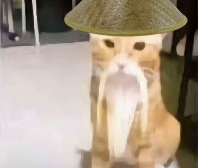 se o lohen for mesmo do mochileiro vai ser a minha situação com a mizuki se repetindo