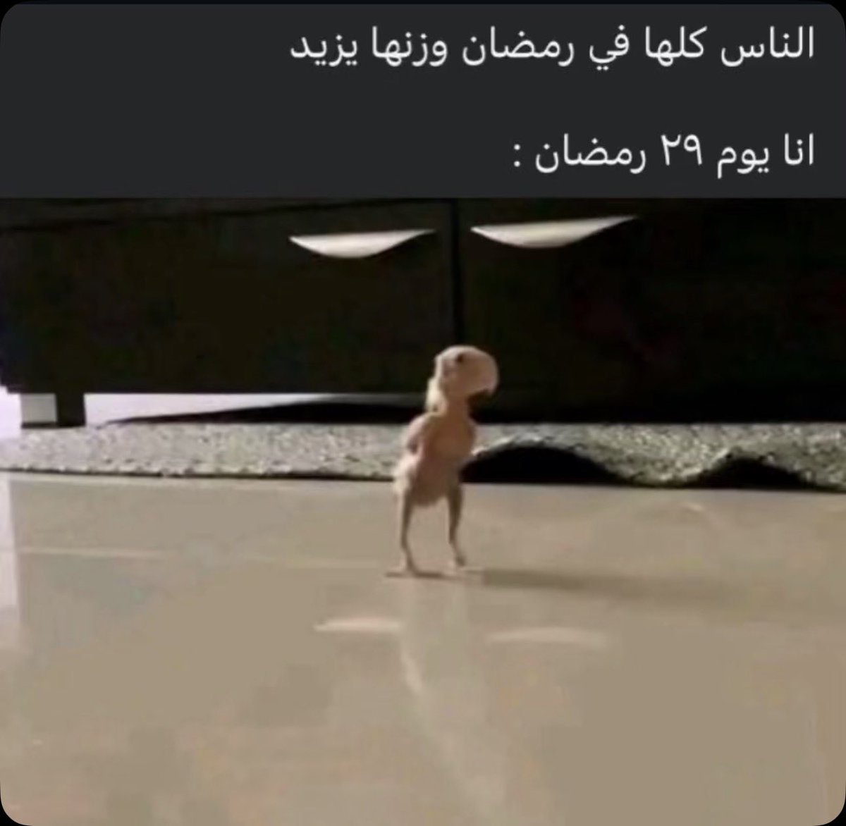2ttui's tweet photo. مع أكلي الفترة ذي حقيقي https://t.co/3VAjqT4xWD