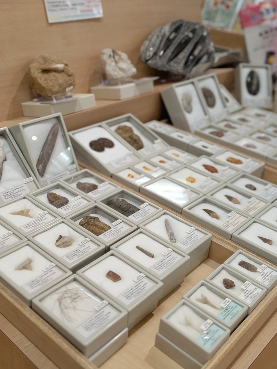 株式会社東京サイエンス tweet media