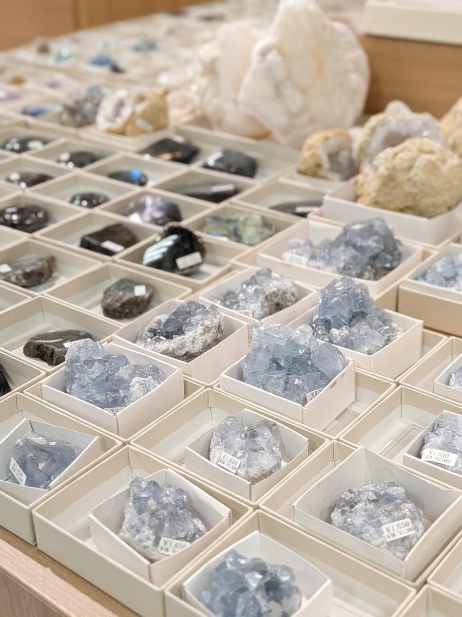 株式会社東京サイエンス tweet media