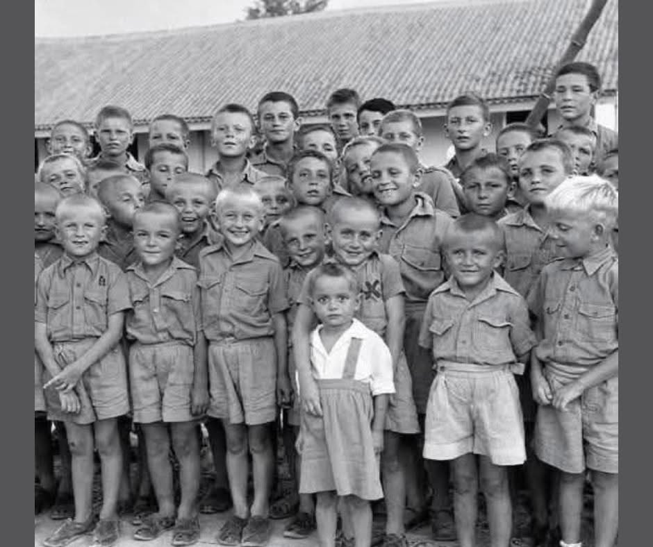 Mr PitBull tweet media