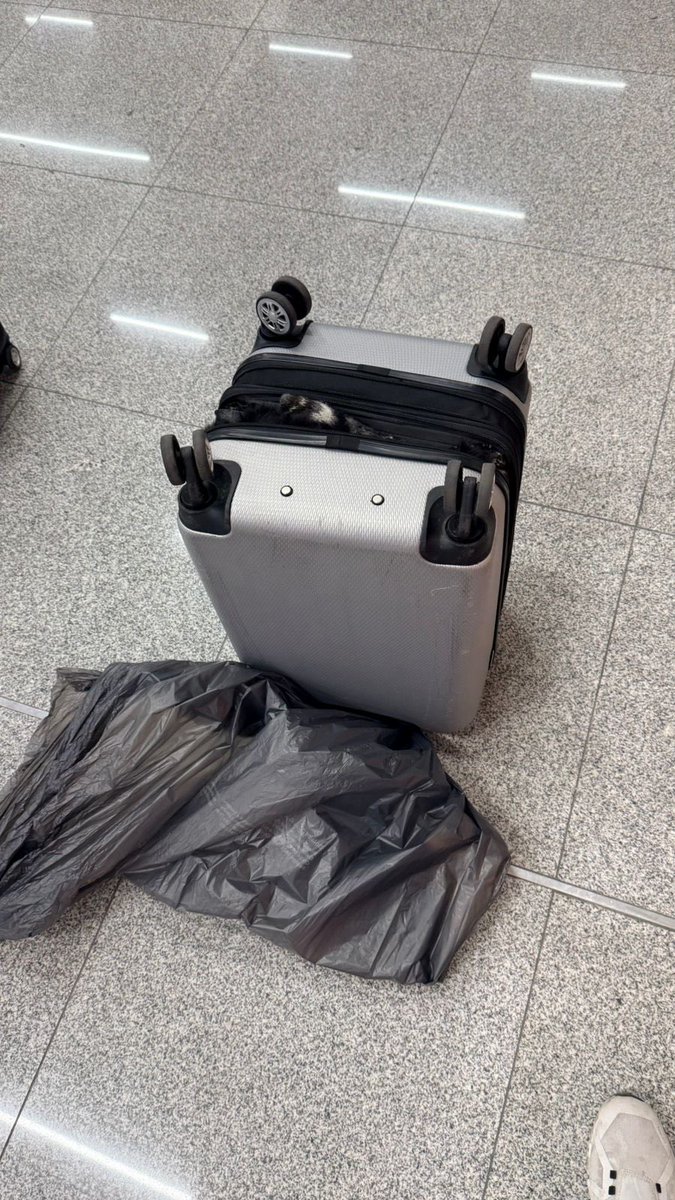 Carlottaherrer4's tweet photo. Volar con @Aeromexico es sinónimo a que destruyan tus maletas nuevas.
Tuvieron el descaro de meterle una bolsa de plástico a mi  carry on para que no se cayeran mis cosas @Profeco  Me ofrecen mil pesos que no alcanzan ni para una cuarta parte de la maleta chica. 
DONDE DENUNCIO? https://t.co/qXyZcO8SKF