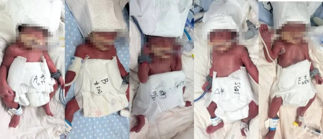 吴家碧玉（互） tweet media