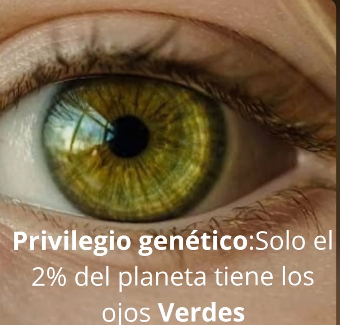 Yo soy de ese 2 % y todavía te freseas papi