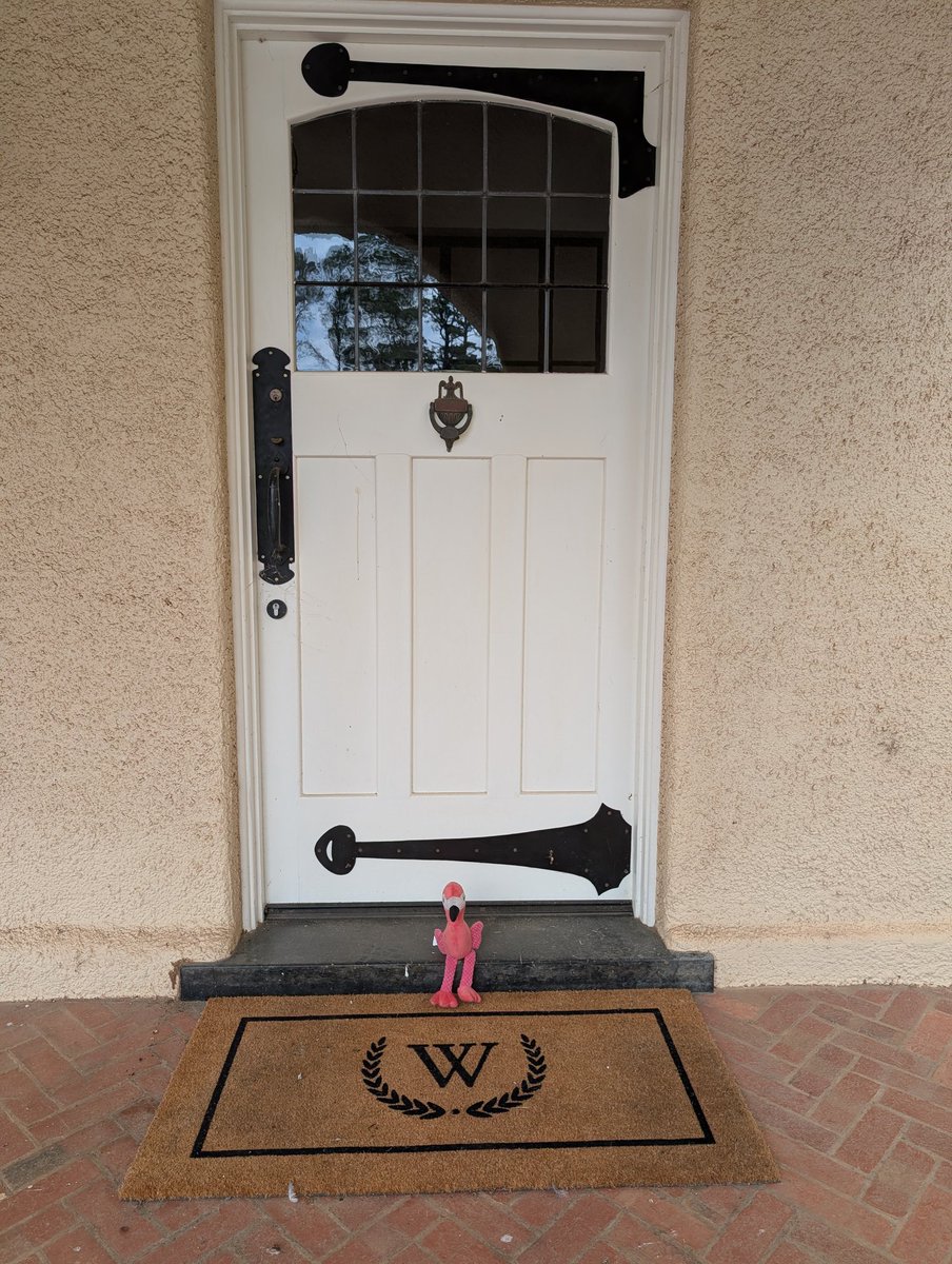 John Sheely tweet media