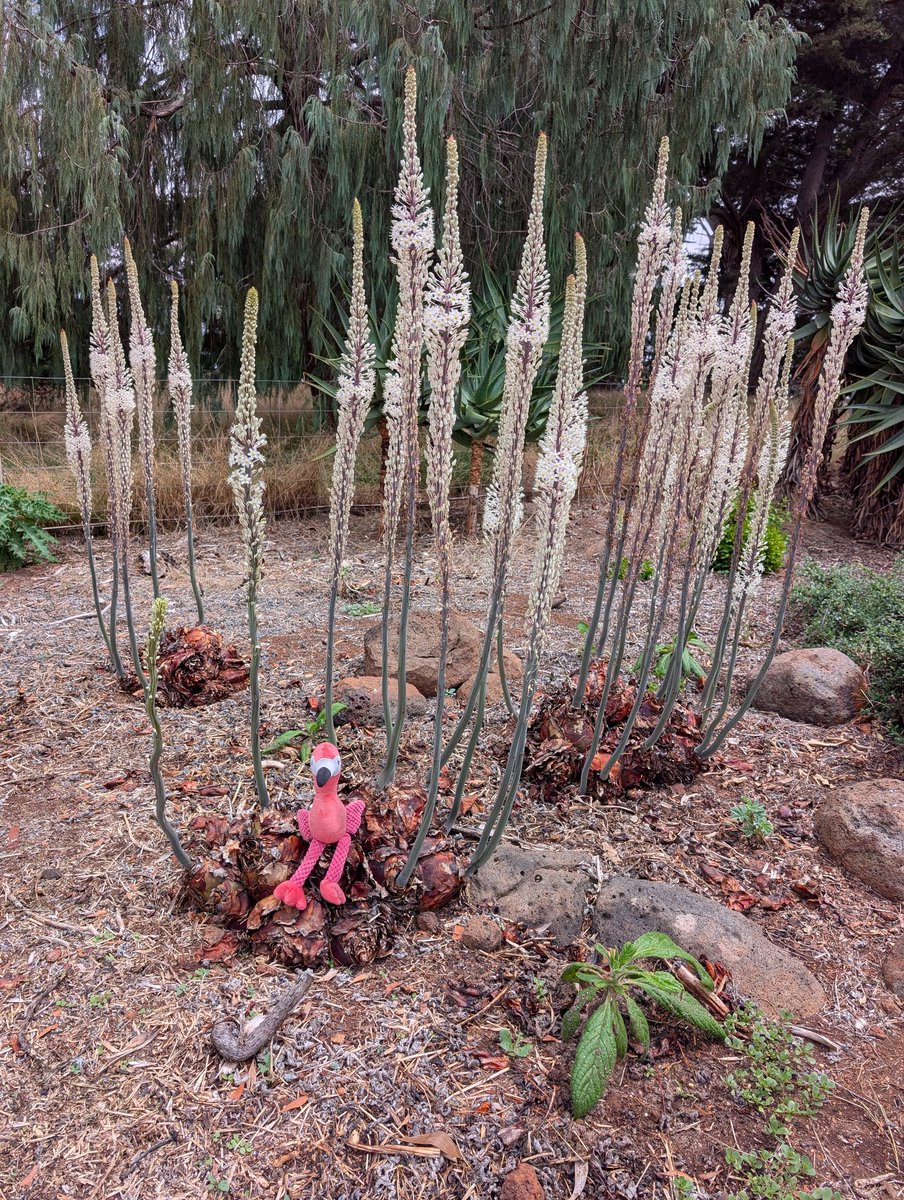 John Sheely tweet media