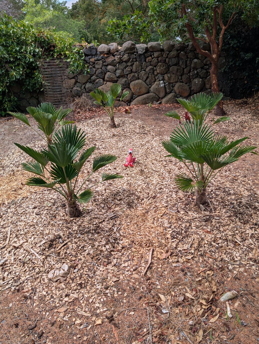 John Sheely tweet media