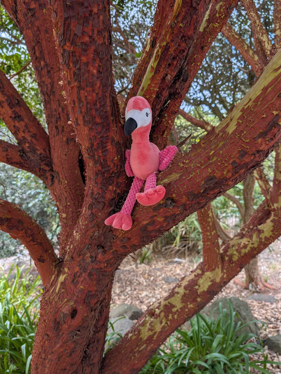 John Sheely tweet media