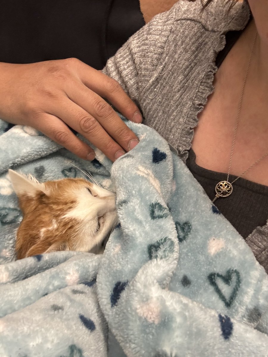 Beezleboop 🤍 tweet media