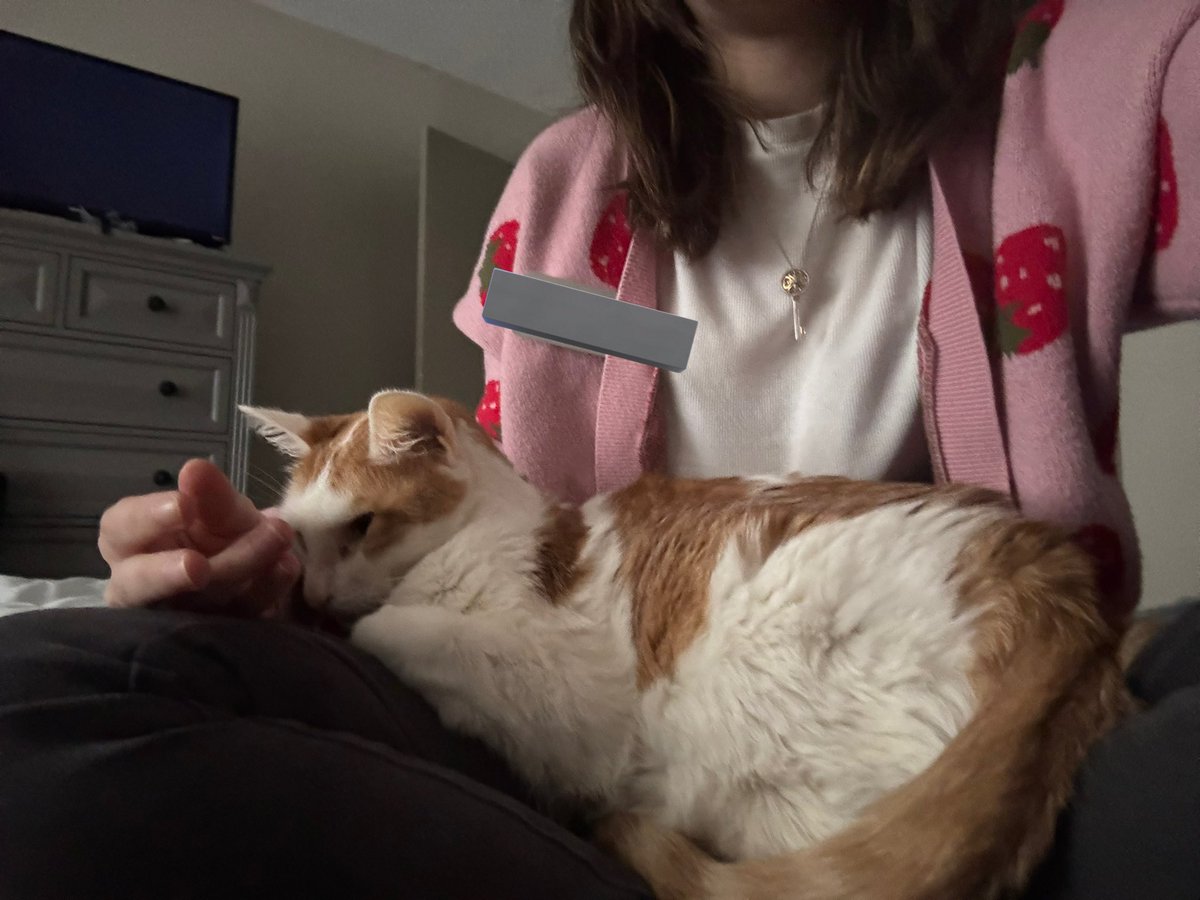 Beezleboop 🤍 tweet media