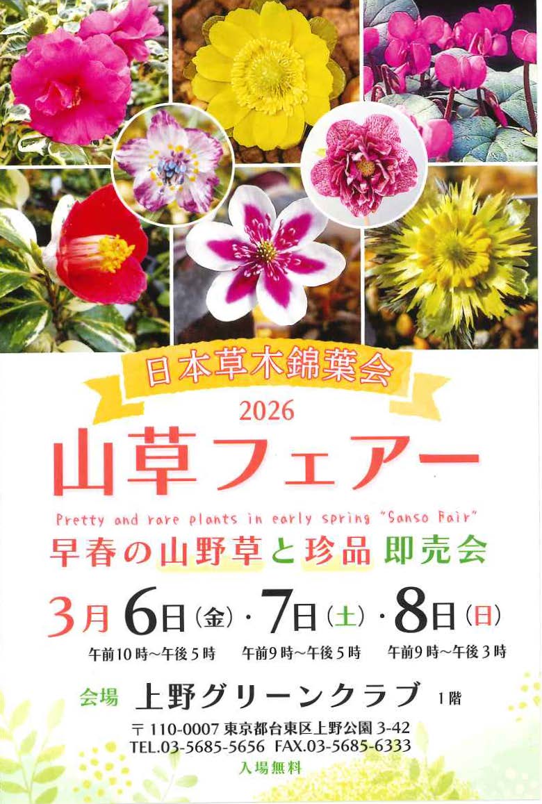 2026春の山草フェアー】 3月6日(金)～8日(日) 主催:日本草木錦