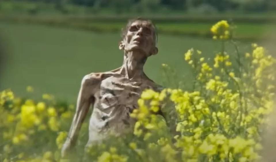 Altcoin Daily tweet media