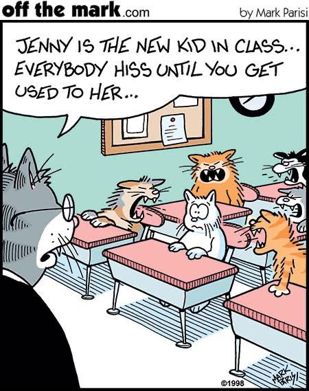 Toastiewiththe's tweet photo. The Grey Project FB #humor #cats
๐ ๐ ๐
#markparisi
#offthemark https://t.co/qea5gNDPP3