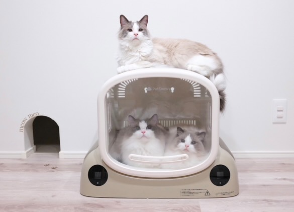 細部にこそ、真のやさしさを✨ 『PetSnowy SMILE ペットドライヤー