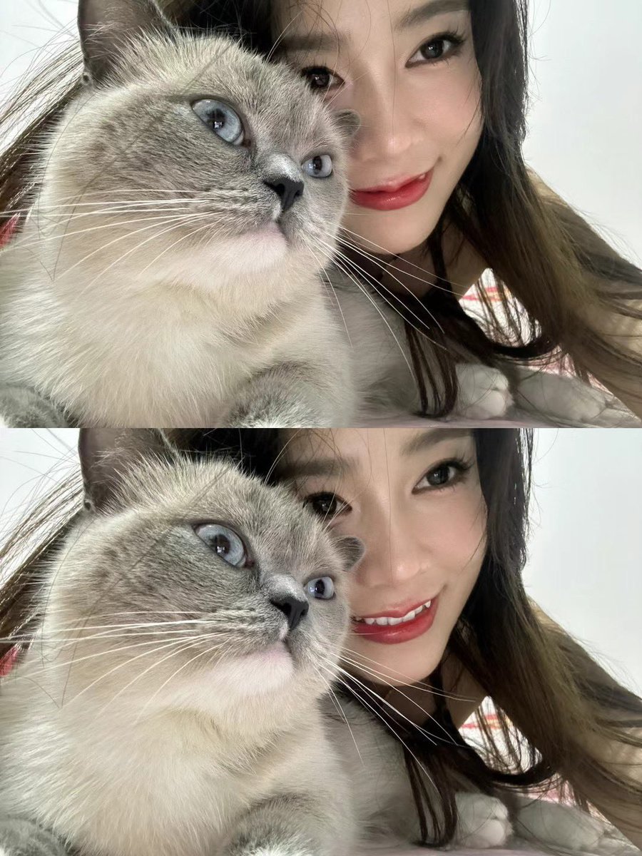 flashback412731's tweet photo. 家肥猫 https://t.co/WdOalPOBE7