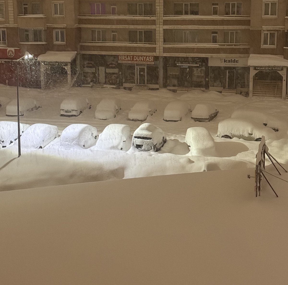 الكنور tweet media