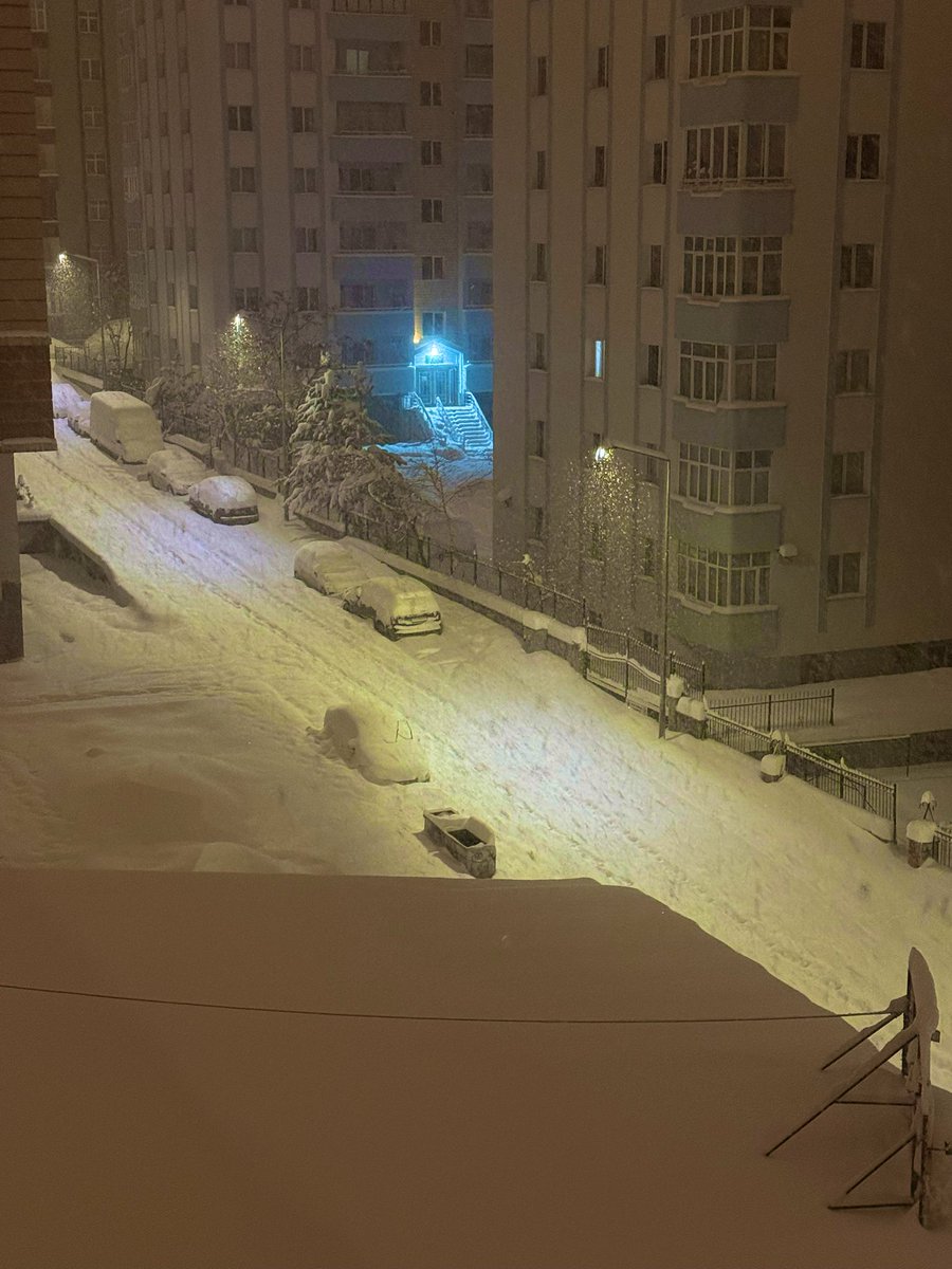 الكنور tweet media