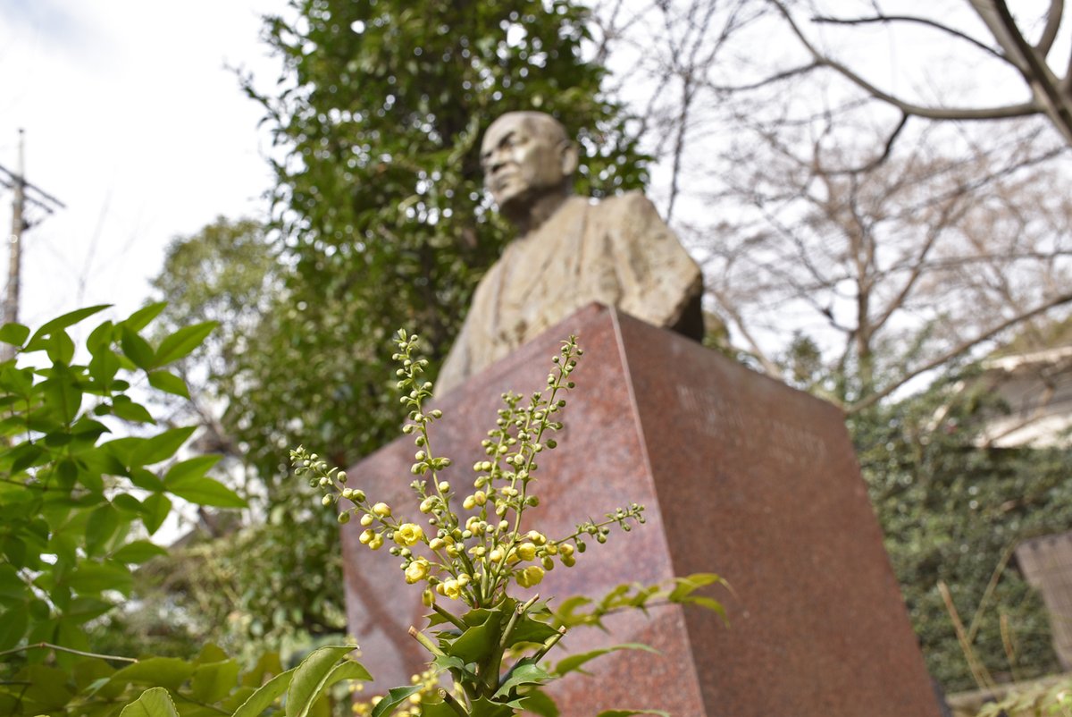 武者小路実篤記念館公式 (@saneatukinenkan) / Posts / X