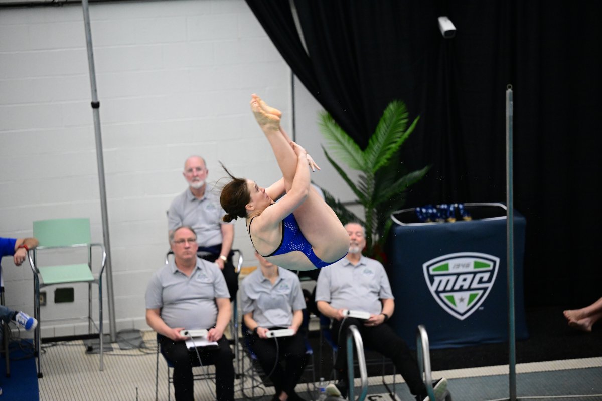 Buffalo Swimming & Diving tweet media