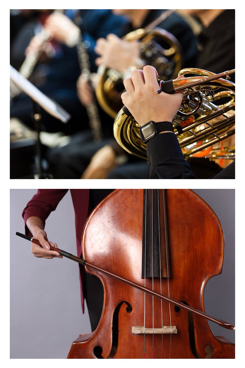 jolietsymphony's tweet photo. We’re looking for substitute musicians for our upcoming April concert!

Openings: French horn II &amp; III and string bass.

📩 Interested? Send us a message or email for details:
https://t.co/neR415gu6w

Please share to help us spread the word! 💛

#FrenchHorn #StringBass https://t.co/fW2SGzxJGA