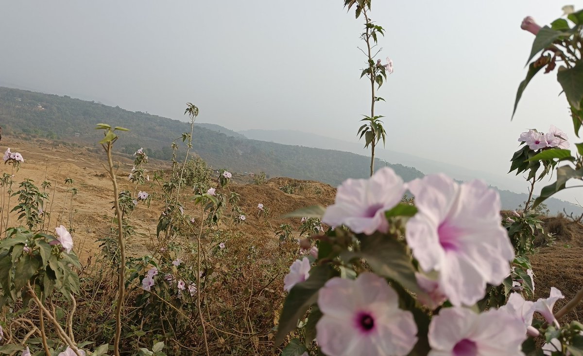 অশ্রুসিক্ত নয়নে আল্লাহর কাছে ক্ষমা চাইলে তিনি কখনোই ফিরিয়ে দেন না।

শুভ সকাল।
ছবি : ভোলাগঞ্জ, সিলেট।