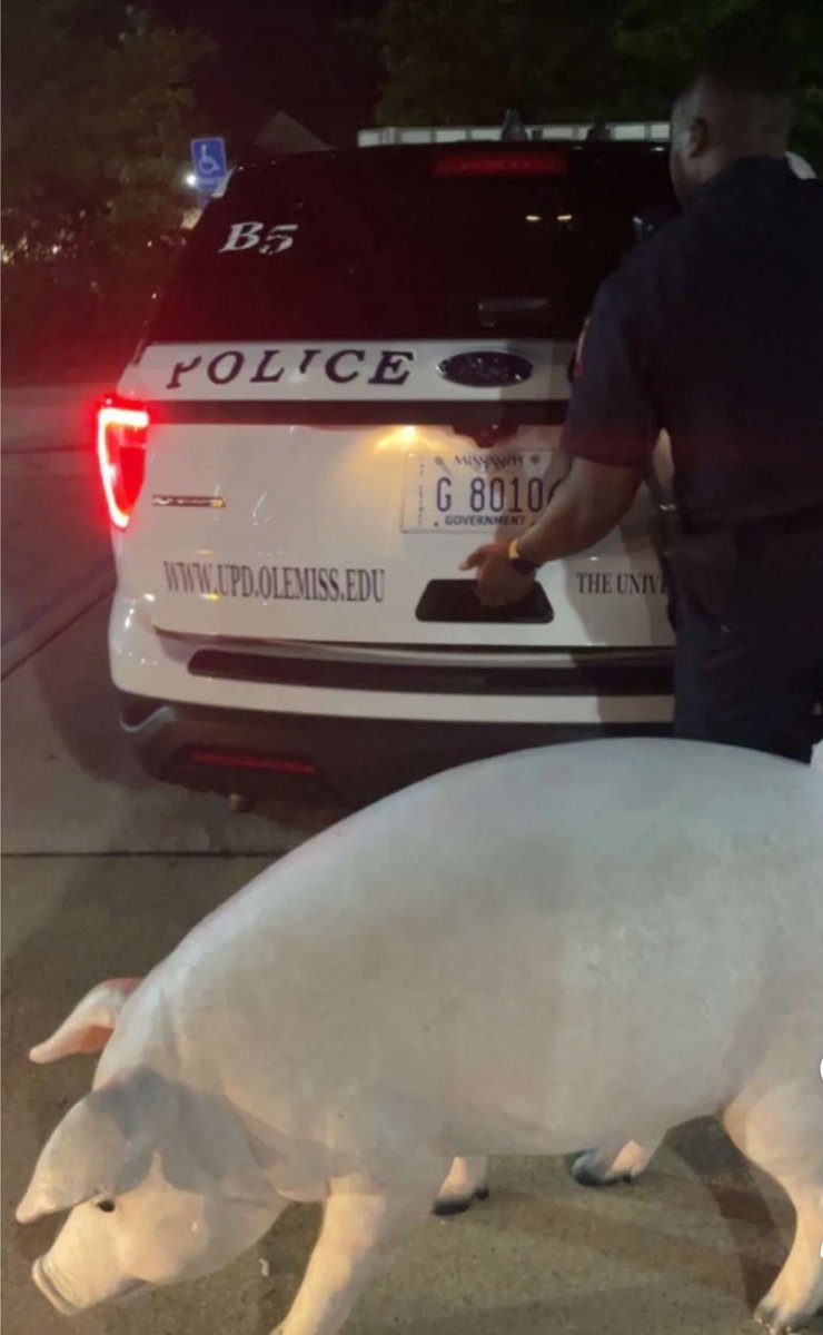 misses HBC 🦈🇹🇹 tweet media