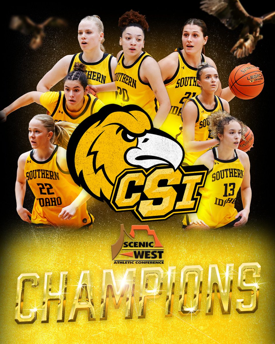CSI Women's Basketball tweet media