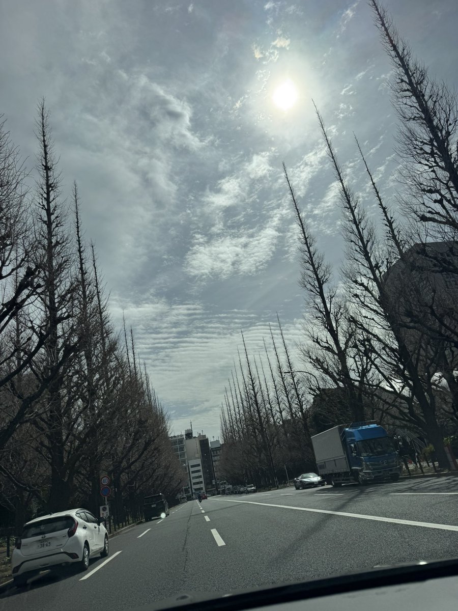 志村双葉 tweet media